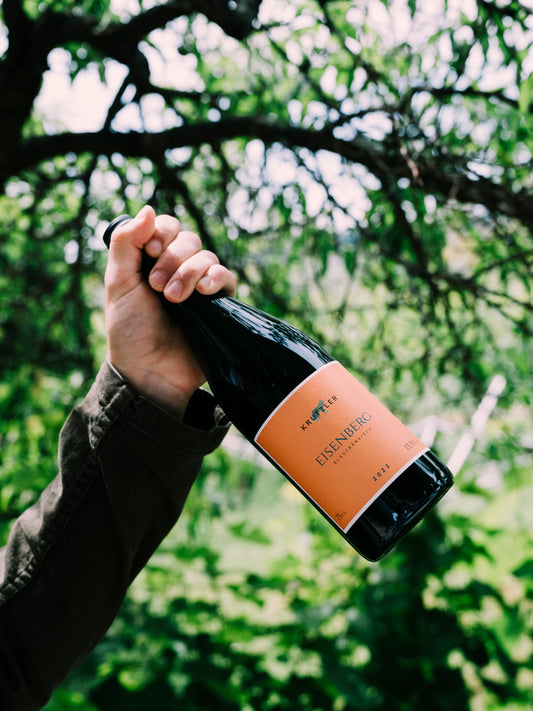 BLAUFRÄNKISCH EISENBERG