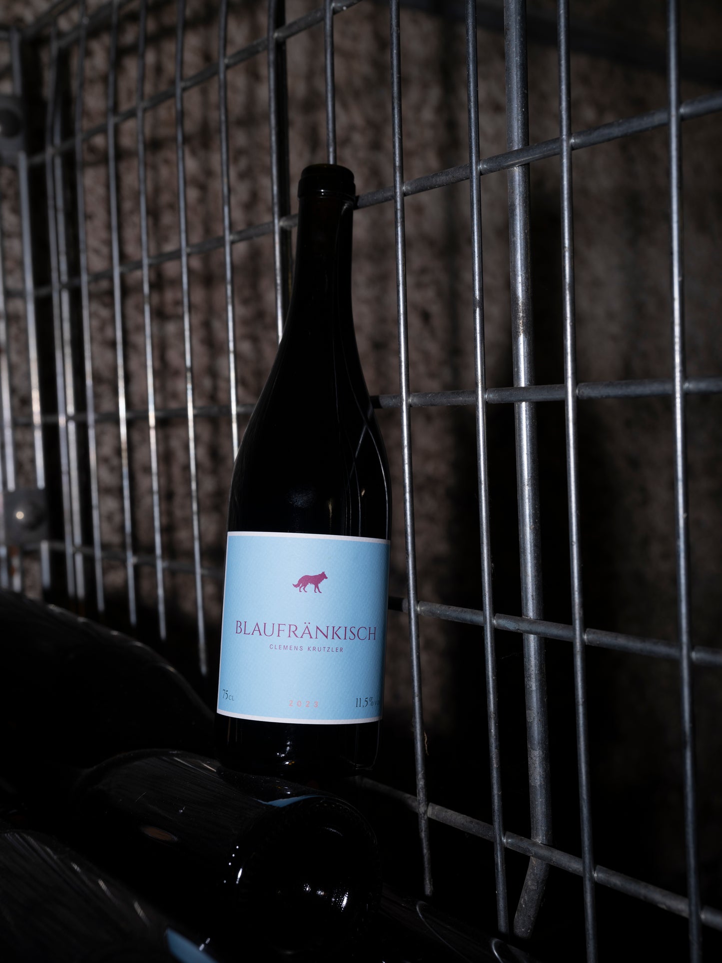 BLAUFRÄNKISCH