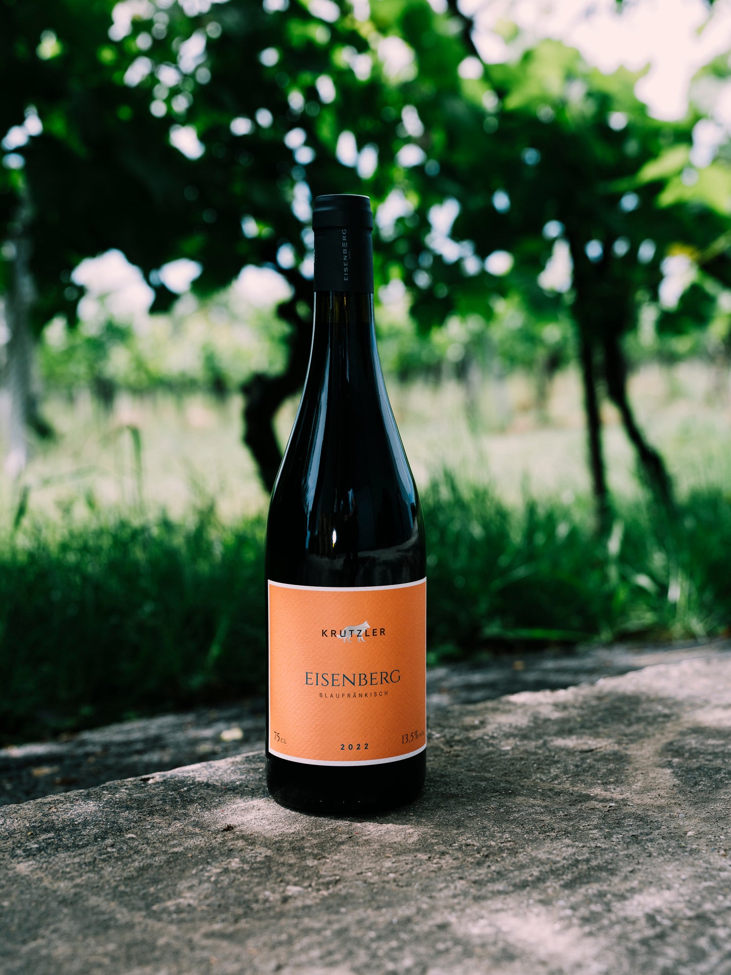 BLAUFRÄNKISCH EISENBERG