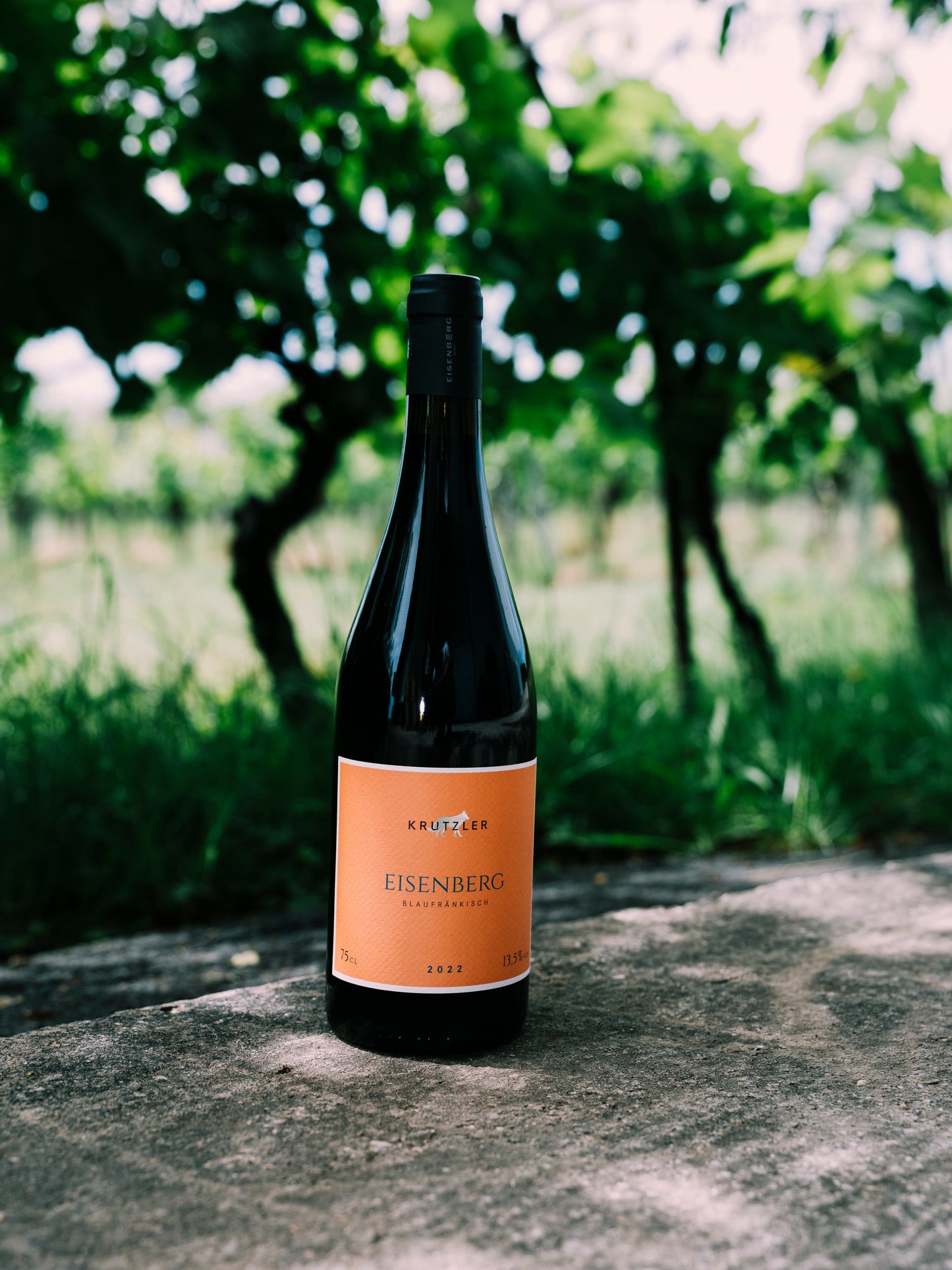 BLAUFRÄNKISCH EISENBERG