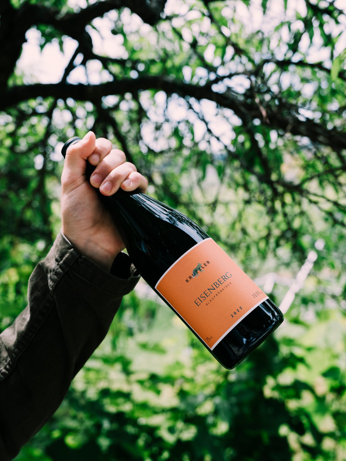 BLAUFRÄNKISCH EISENBERG