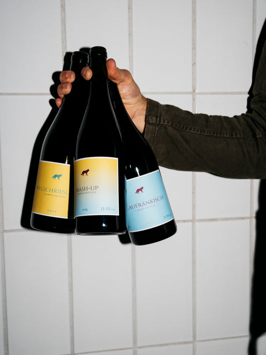 BLAUFRÄNKISCH & WELSCHRIESLING PACKAGE